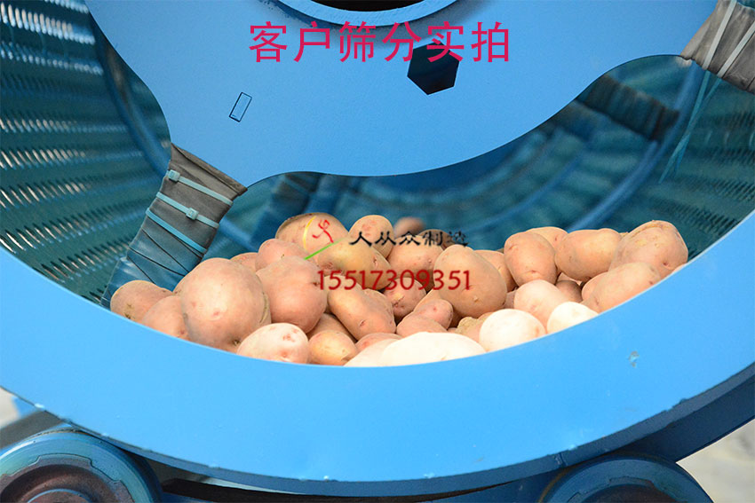 滾筒篩土豆實拍電