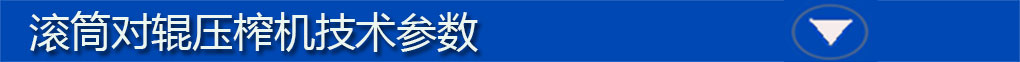 對(duì)輥機(jī)參數(shù)