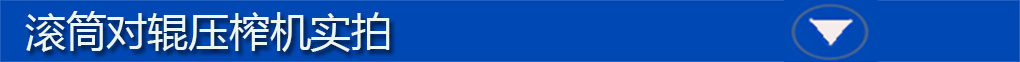 對(duì)輥機(jī)實(shí)拍